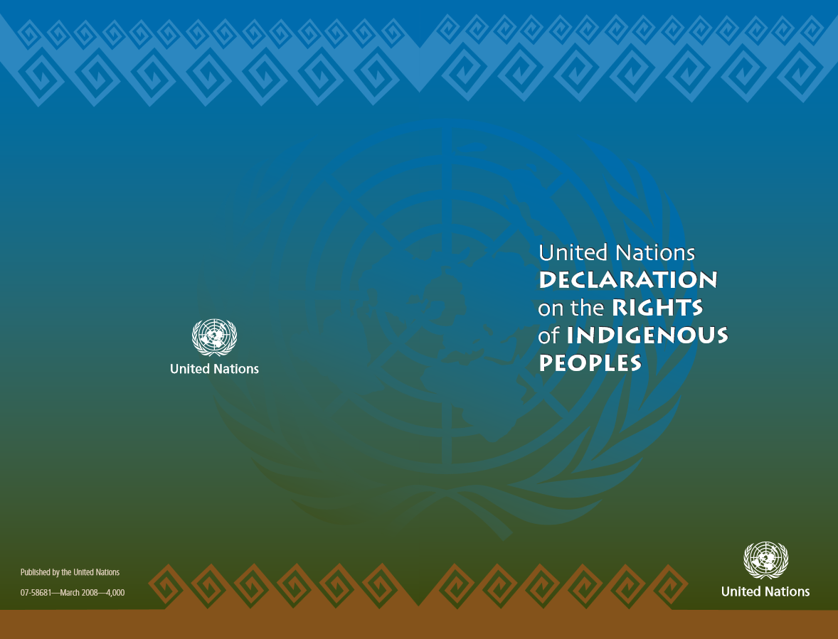 The United Nations Declaration on the Rights of Indigenous Peoples (UNDRIP)